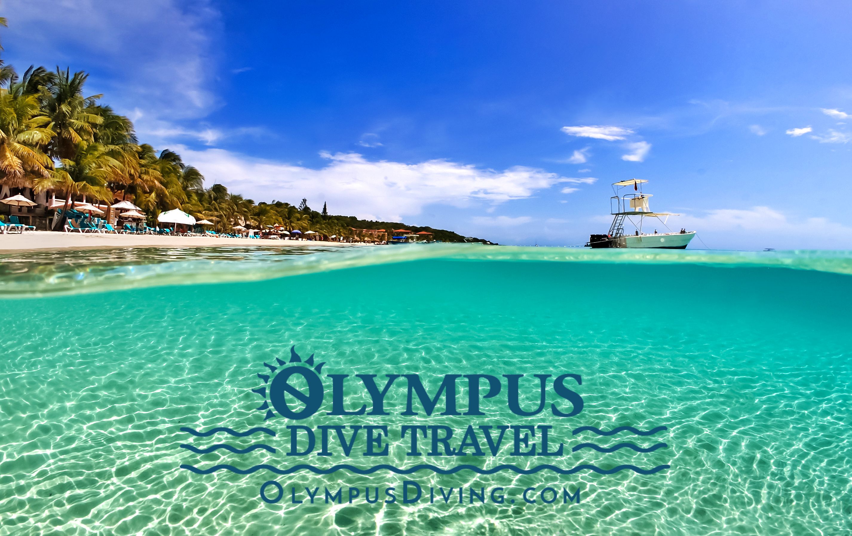 Olympus Dive Center Is Headed To Roatan!