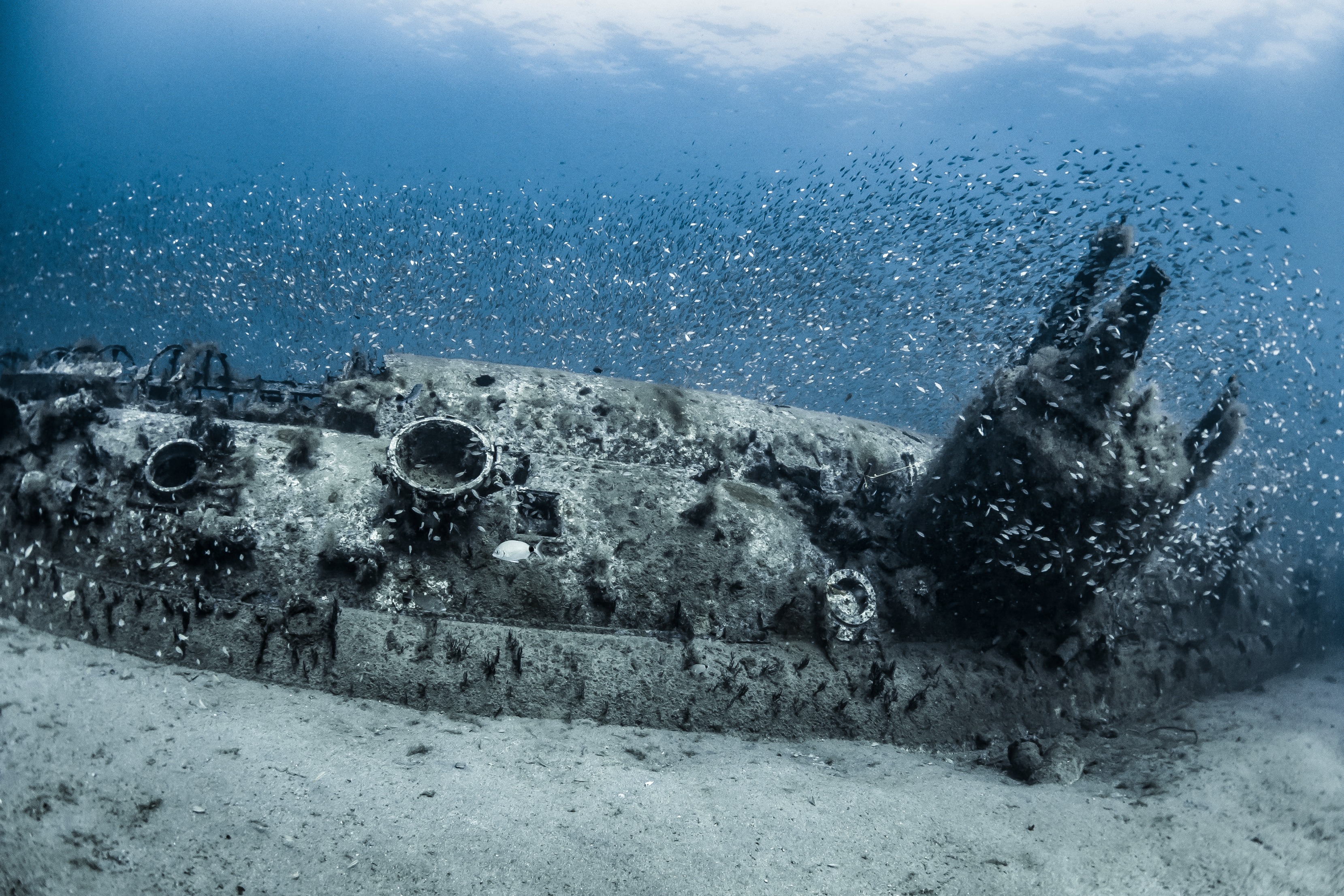 Ship Wreck Diving
